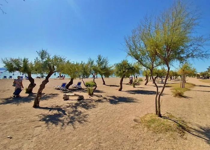 아파트 Heart Of - Pink 오미스